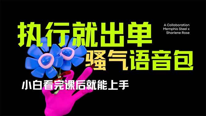 （14170期）爆火全网的开车导航骚气语音包,只要执行就出单，小白看完课程就能实操…-百盟网