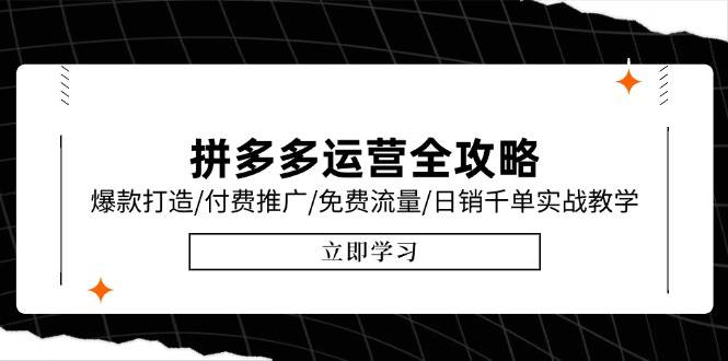 （15085期）拼多多运营全攻略，爆款打造/付费推广/免费流量/日销千单实战教学/6月更新-百盟网
