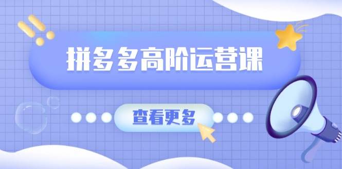 （14327期）拼多多高阶运营课：极致群爆款玩法，轻付费无尽复制，打造单品爆款之路-百盟网