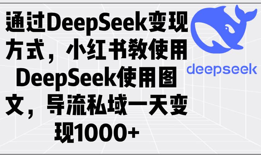 （14179期）通过DeepSeek变现方式，小红书教使用DeepSeek图文，导流私域一天变现1000+-百盟网