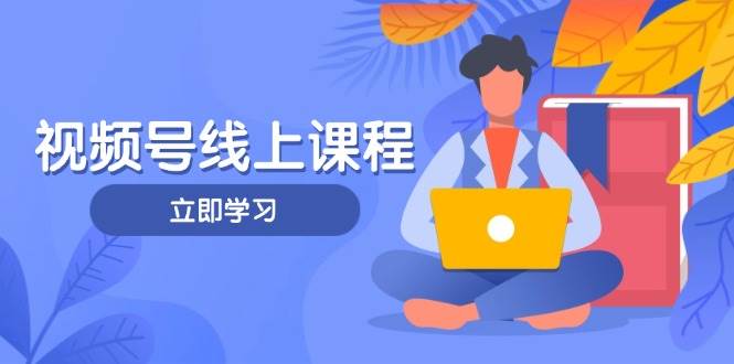 （14360期）视频号实战课程，轻IP打造与运营技巧，掌握核心方法与策略-百盟网
