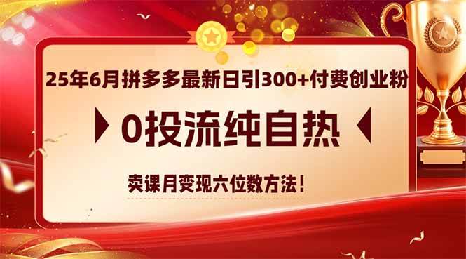（14989期）25年6月拼多多最新日引300+付费创业粉，0投流纯自热 卖课月变现六位数方法-百盟网