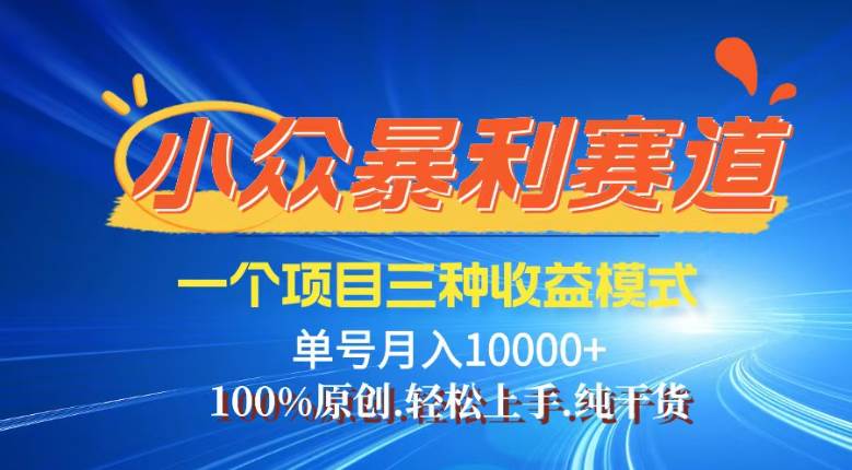 （14300期）【灵狐计划】视频号最新爆火赛道，三种收益模式，0粉新号条条热门原创…-百盟网