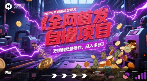 全网首发，2025年最新稳定暴力全自动自撸项目，无限制批量操作，日入多张【揭秘】-百盟网