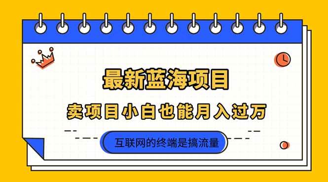 （14289期）2025年最新蓝海项目，卖项目小白也能月入过万-百盟网