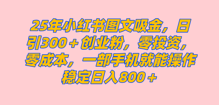 （14437期）25年小红书创业粉图文自热打法，一部手机简单操作， 日引300＋创业粉，零投资，零成本，每天利用20分钟就能完成-百盟网
