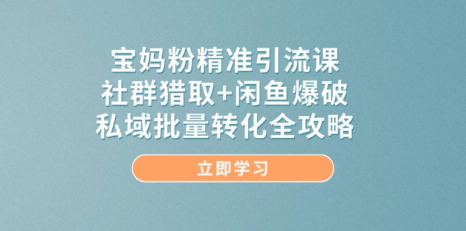 （14820期）宝妈粉精准引流课，社群猎取+闲鱼爆破，私域批量转化全攻略-百盟网