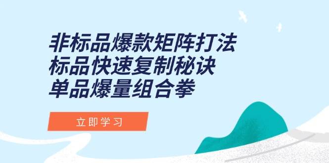 （15068期）非标品爆款矩阵打法，标品快速复制秘诀，单品爆量组合拳-百盟网