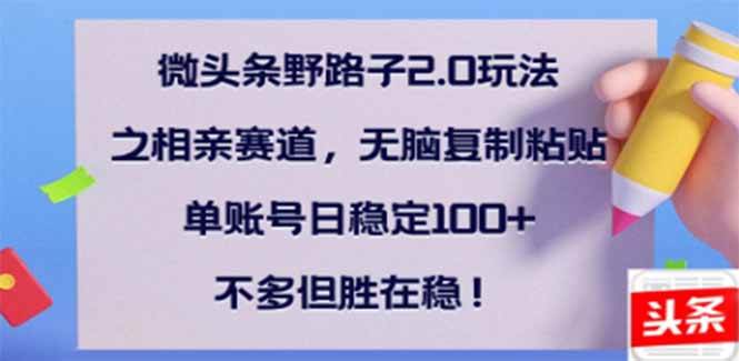 （14334期）微头条野路子2.0玩法之相亲赛道，无脑搬砖复制粘贴，单账号日稳定300+…-百盟网