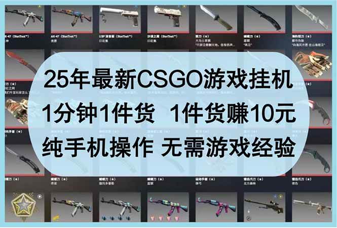 （14439期）25年最新CSGO游戏挂机，1分钟1件货，1件货赚10元 纯手机操作 无需游戏经验-百盟网