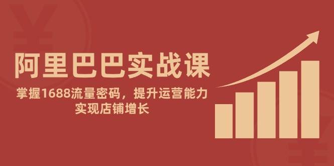（14830期）阿里巴巴实战课：掌握1688流量密码，提升运营能力，实现店铺增长-百盟网