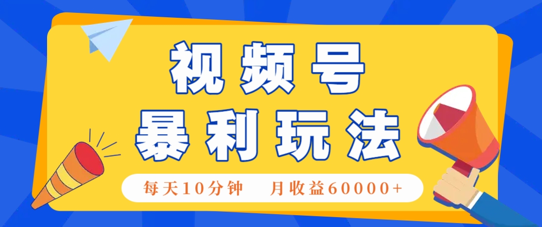 视频号AI赚钱法，每天只需10分钟，月入6万+！（超详细拆解）-百盟网