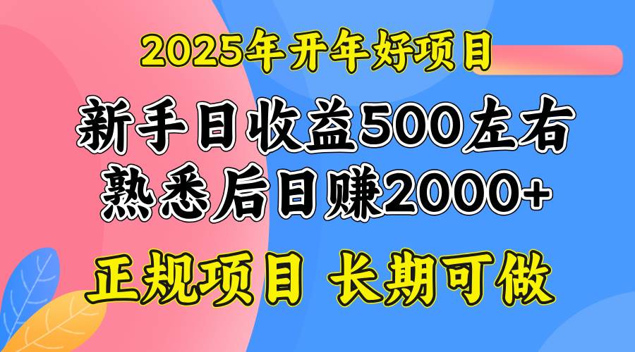 （14076期）2025开年好项目，单号日收益2000左右-百盟网