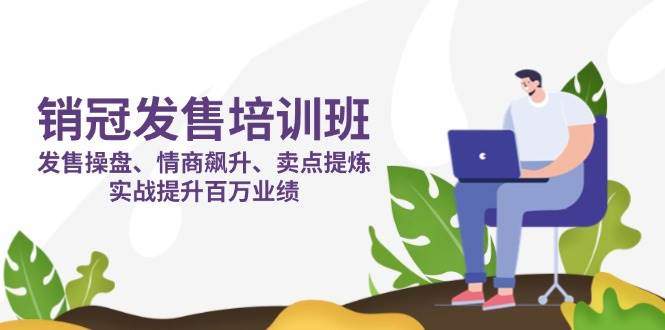 （14203期）销冠 发售培训班：发售 操盘+情商 飙升+卖点 提炼，实战提升百万业绩-百盟网