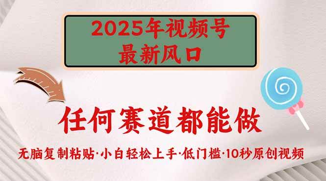 （14453期）2025年视频号新风口，低门槛只需要无脑执行-百盟网