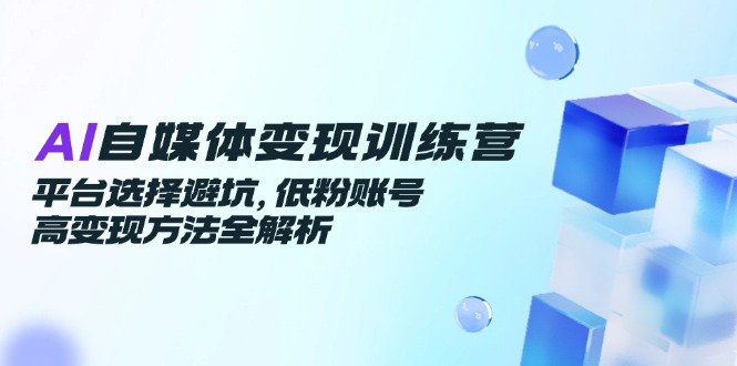 AI自媒体变现训练营，平台选择避坑，低粉账号高变现方法全解析-百盟网