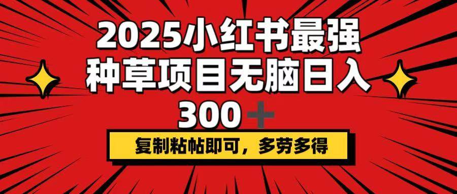 （14375期）2025小红书最强种草项目，无脑日入300+，复制粘帖即可，多劳多得-百盟网