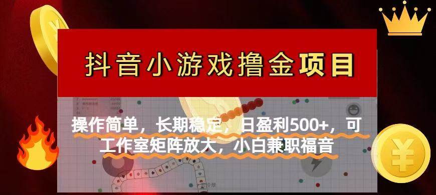 （14290期）【抖音小游戏发行人计划项目】操作简单，长期稳定，日盈利500+，可工作…-百盟网