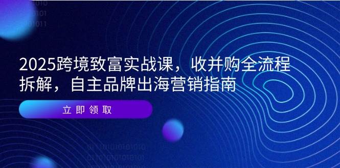 （14975期）2025跨境致富实战课，收并购全流程拆解，自主品牌出海营销指南-百盟网