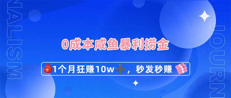 （14257期）0成本闲鱼暴利捞金，1个月狂赚10W+，秒发秒赚新玩法-百盟网