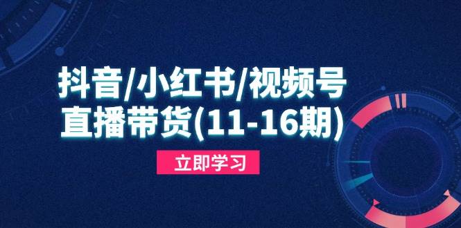 （14611期）抖音/小红书/视频号/直播带货(11-16期)，快速掌握平台规则，打造爆款内容-百盟网