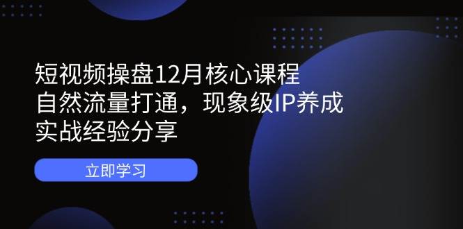 （14447期）短视频操盘12月核心课程：自然流量打通，现象级IP养成，实战经验分享-百盟网