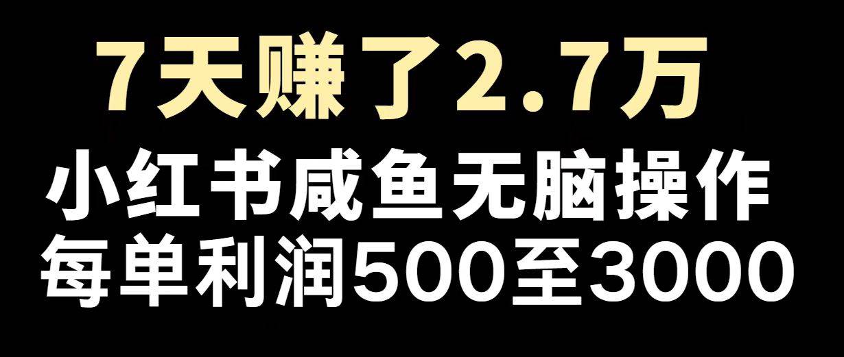 （14183期）最赚钱项目之一，2025爆火，逆风翻盘！-百盟网