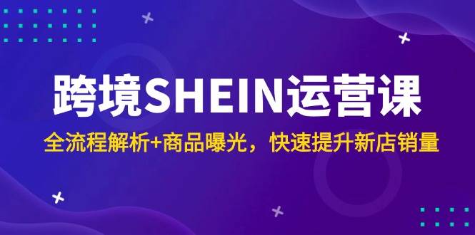 （14832期）跨境SHEIN运营课，全流程解析+商品曝光，快速提升新店销量-百盟网
