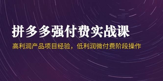 （14874期）拼多多强付费实战课-44期，高利润产品项目经验，低利润微付费阶段操作-百盟网