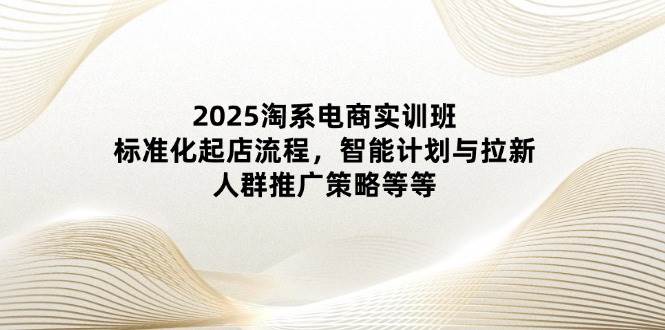 （14522期）2025淘系电商实训班：标准化起店流程，智能计划与拉新，人群推广策略等等-百盟网