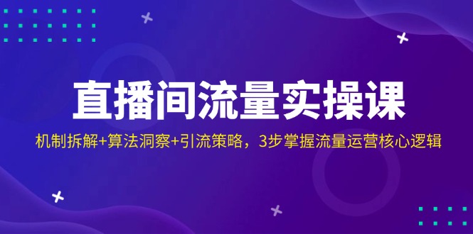 （14122期）直播间流量实操课：机制拆解+算法洞察+引流策略，3步掌握流量运营核心逻辑-百盟网