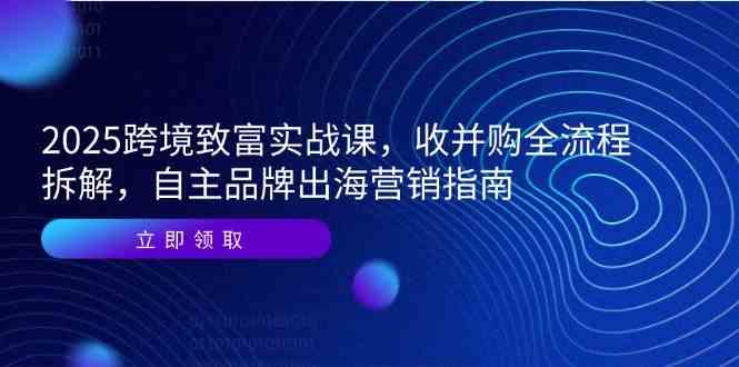 2025跨境致富实战课，收并购全流程拆解，自主品牌出海营销指南-百盟网